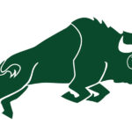 Green Buffalo. White Background.