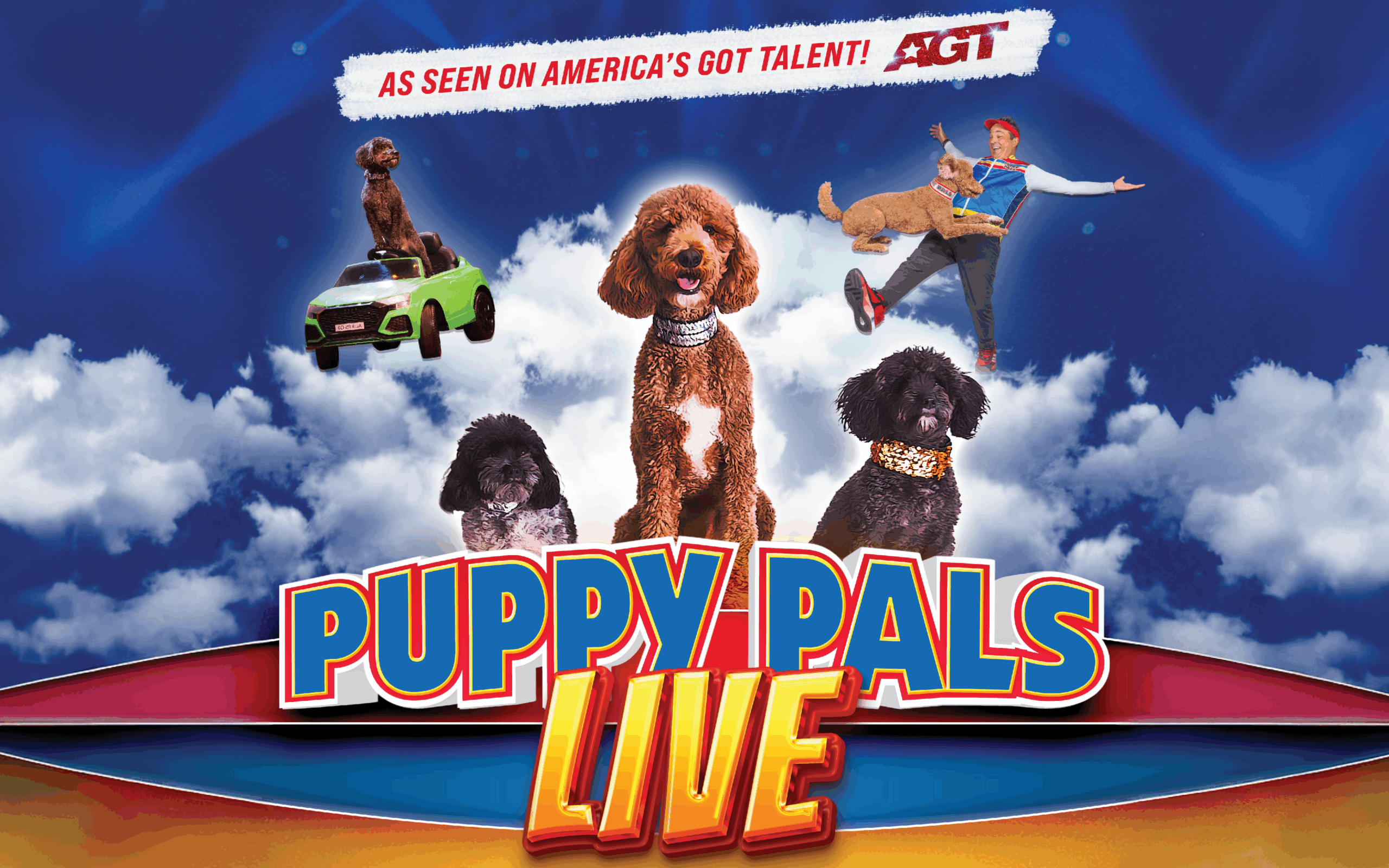 Colorful promo for Puppy Pals Live! featuring adorable stunt dogs in costumes performing tricks in the clouds, with the tagline “As Seen on America’s Got Talent!”